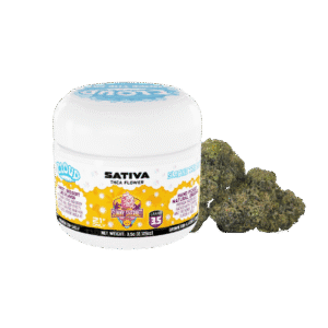Best online thca flower shop - Sunny Sherbet